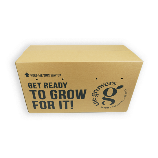 Flower packaging box 740x740px